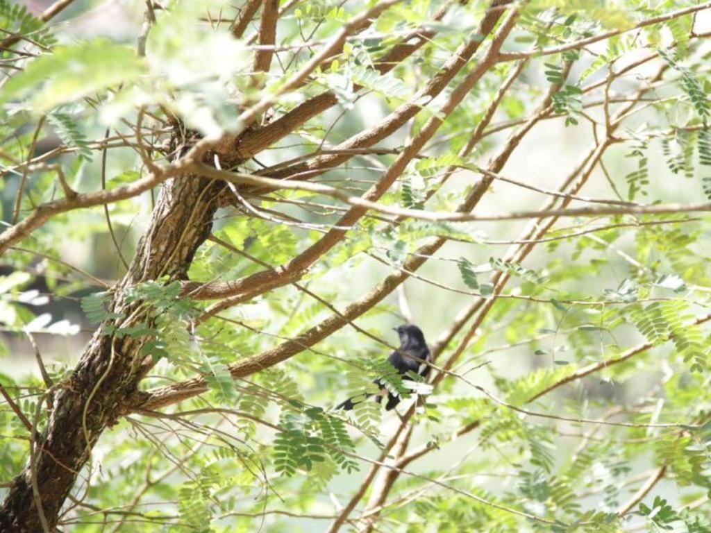 Rommai Rimnaam Resort Ranong Kültér fotó