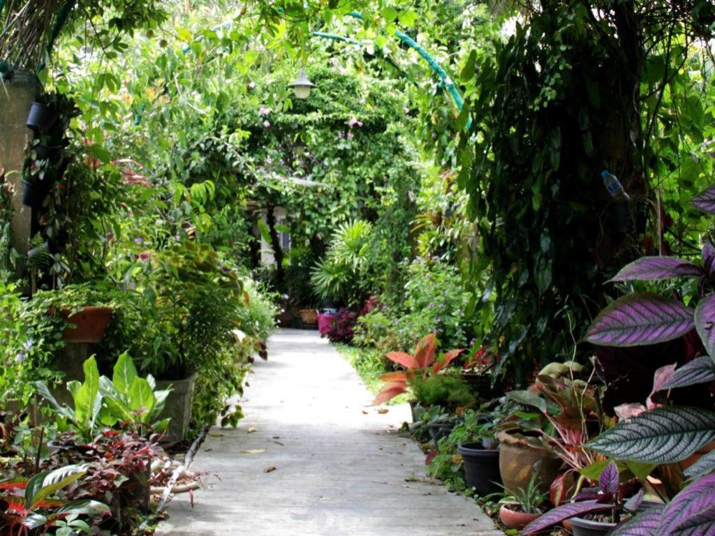 Rommai Rimnaam Resort Ranong Kültér fotó